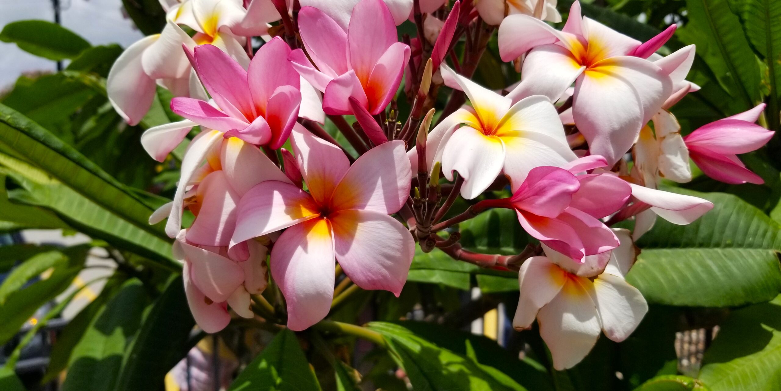 20240705_125602 website