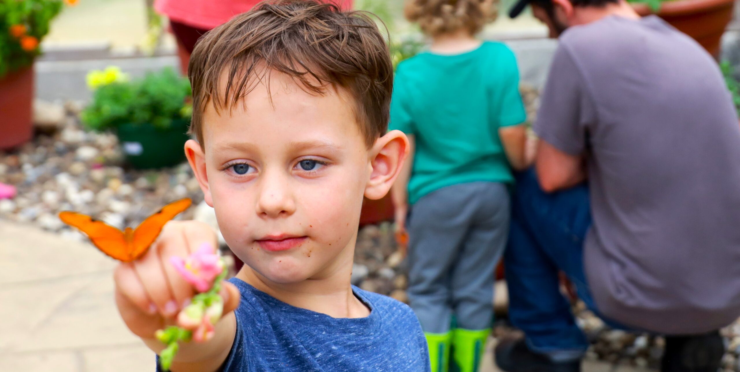 Butterfly Release 3