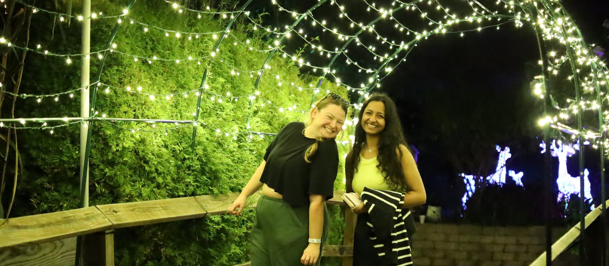 Light Canopy, 2 girls Noble - Copy (2)