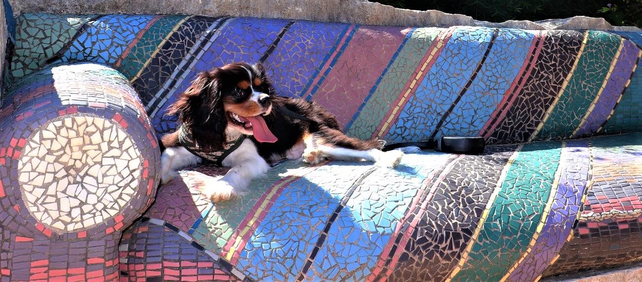 Nolan on Sensory Gdn sofa - Copy