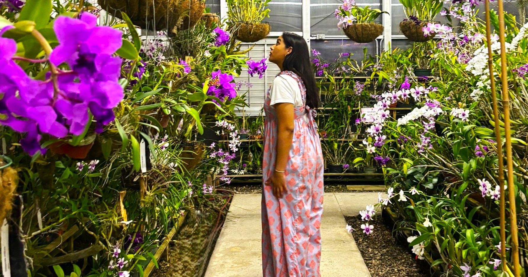 Orchid Conservatory, Dominique Cuellar - Copy