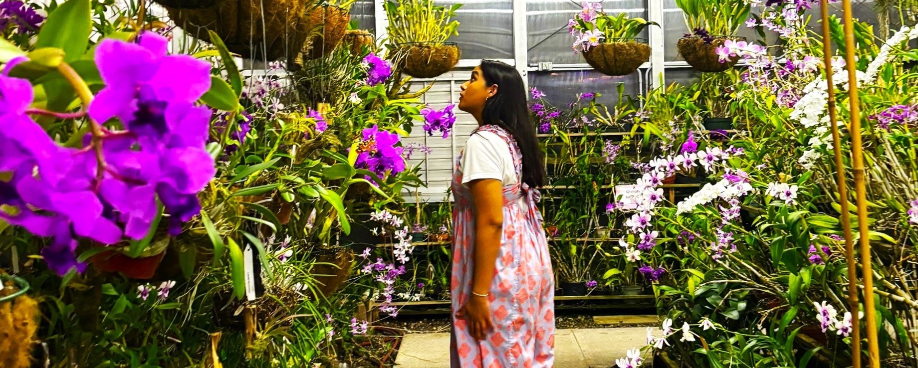 Orchid Conservatory, Dominique Cuellar - Copy (2)