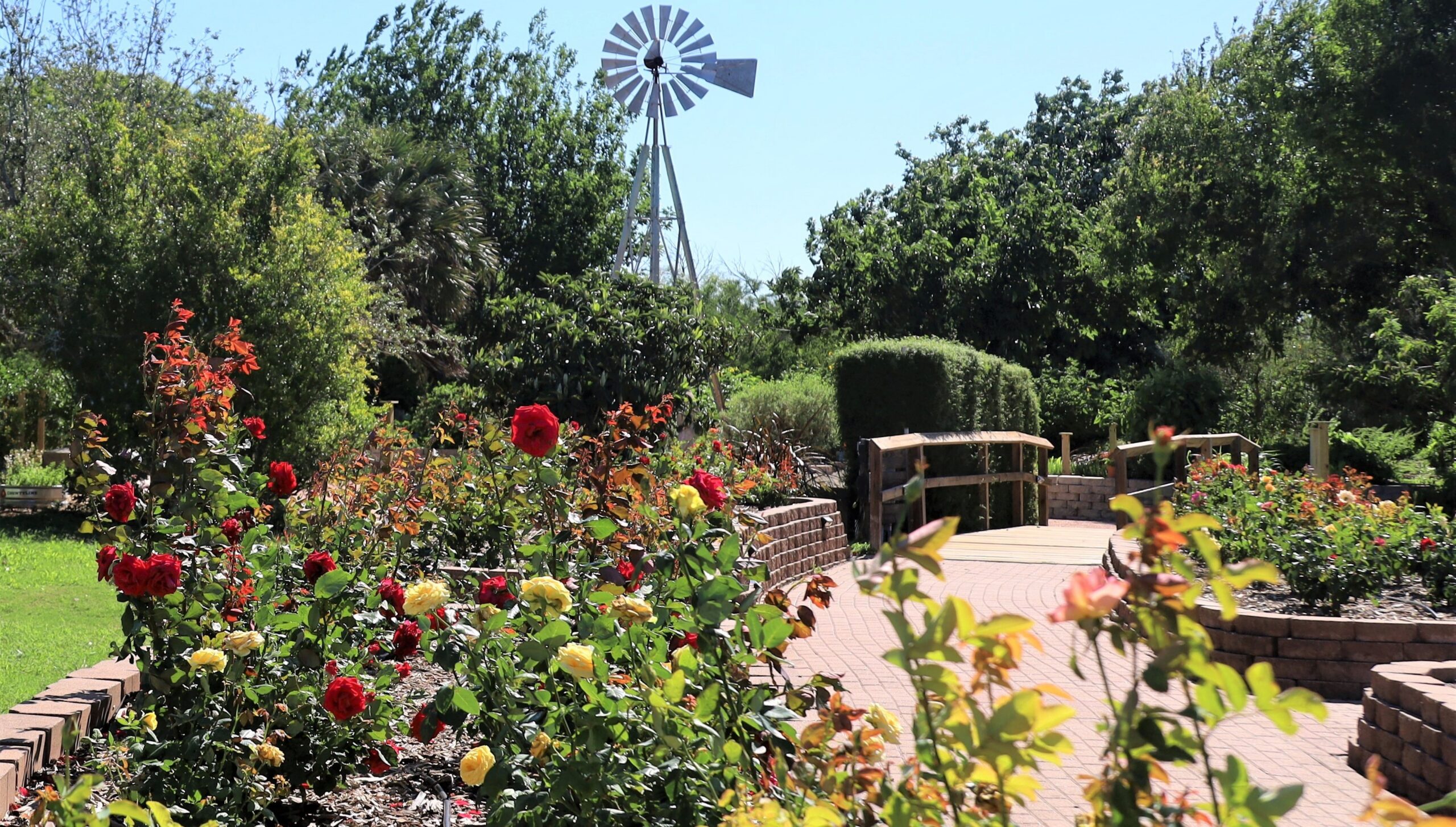 STBGNC Rose Garden, Bridge - Copy