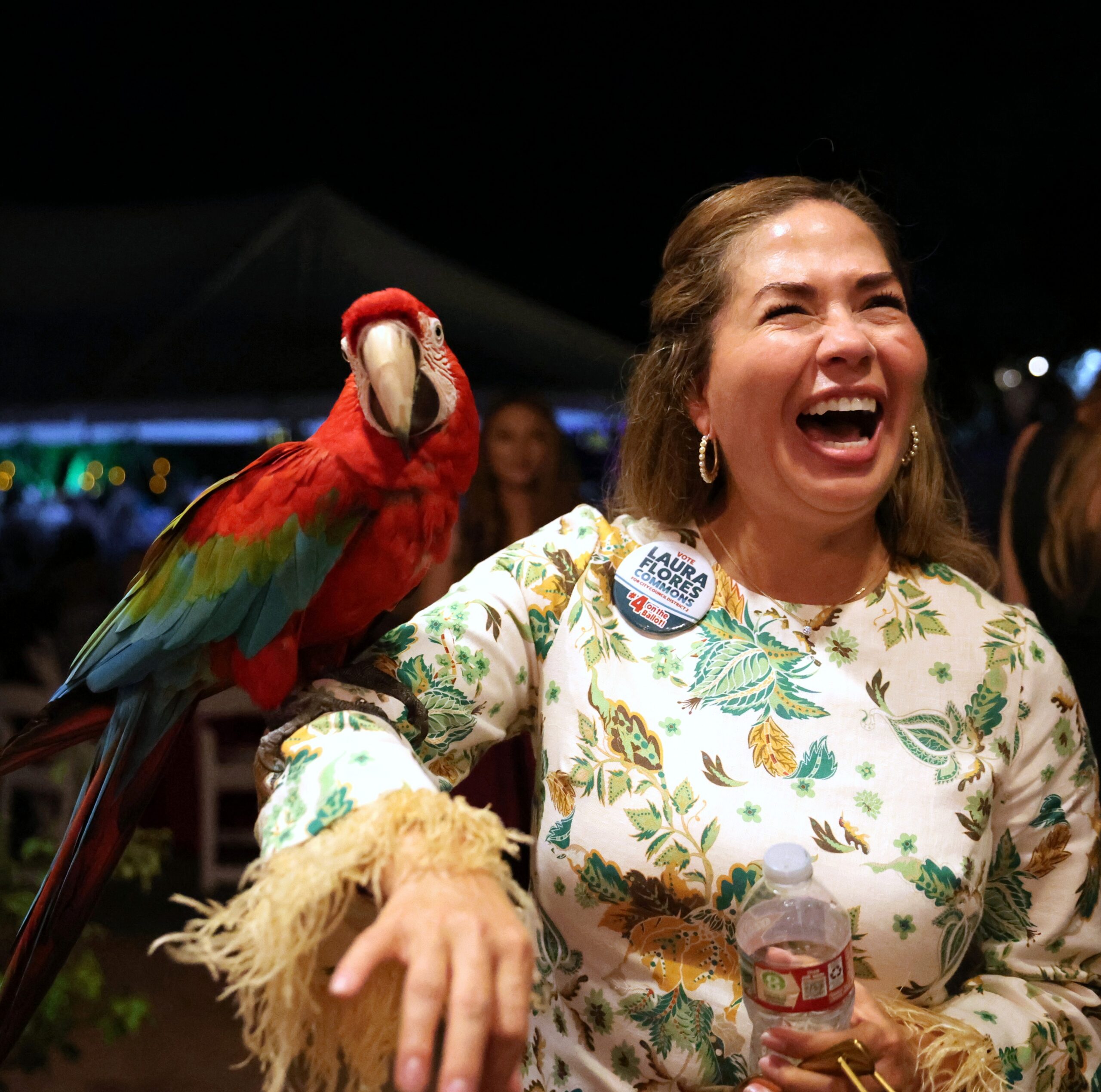 Animal, Parrot 10