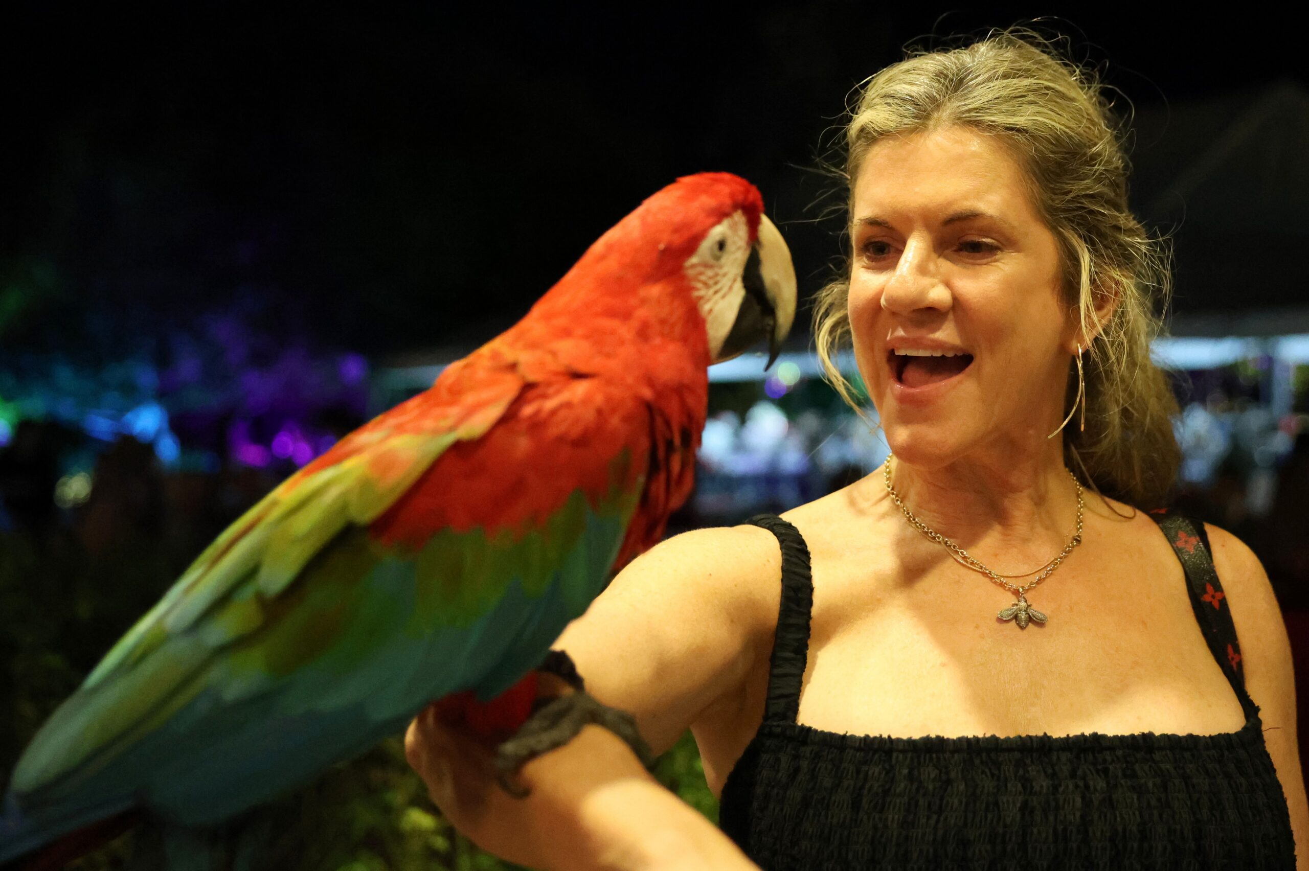 Animal, Parrot 9