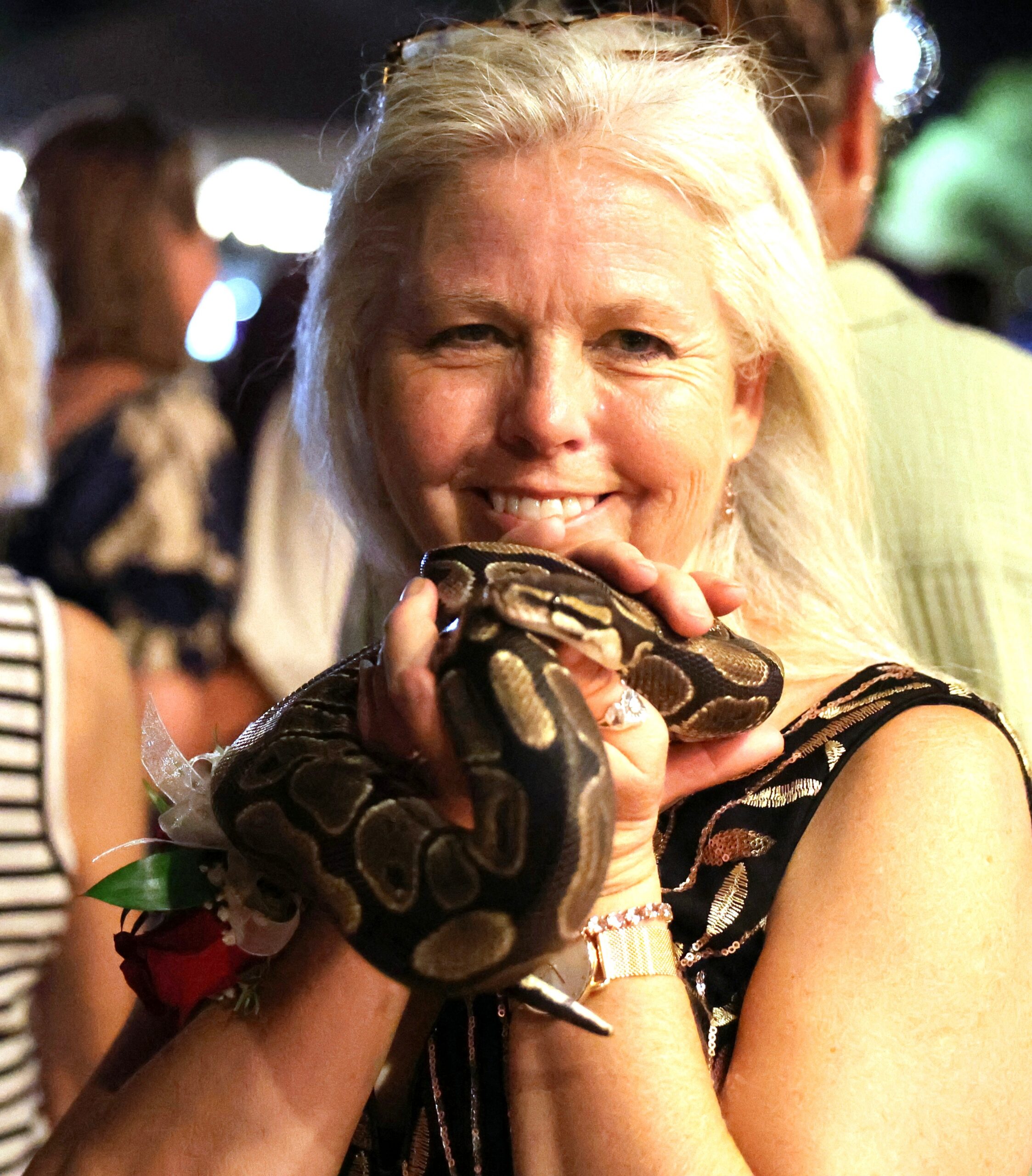 Animal, Reptiles