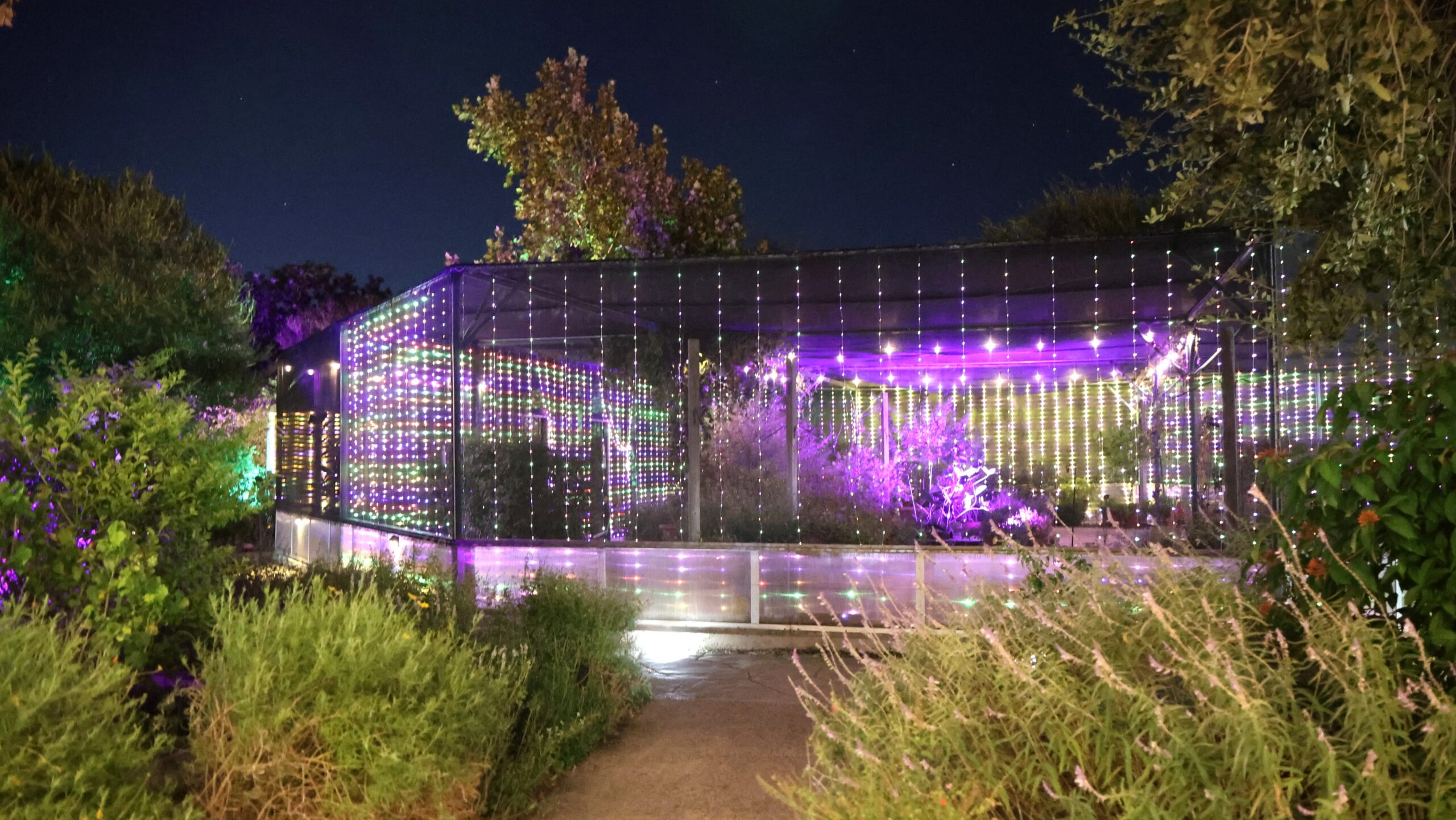 Scene, Butterfly House