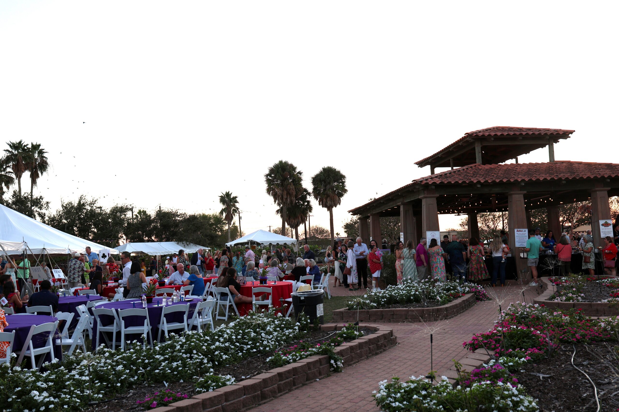 Scene, Crowd 2